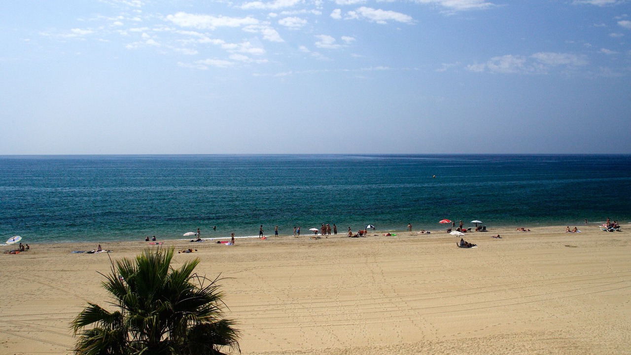 Photo of Others in Vilafortuny