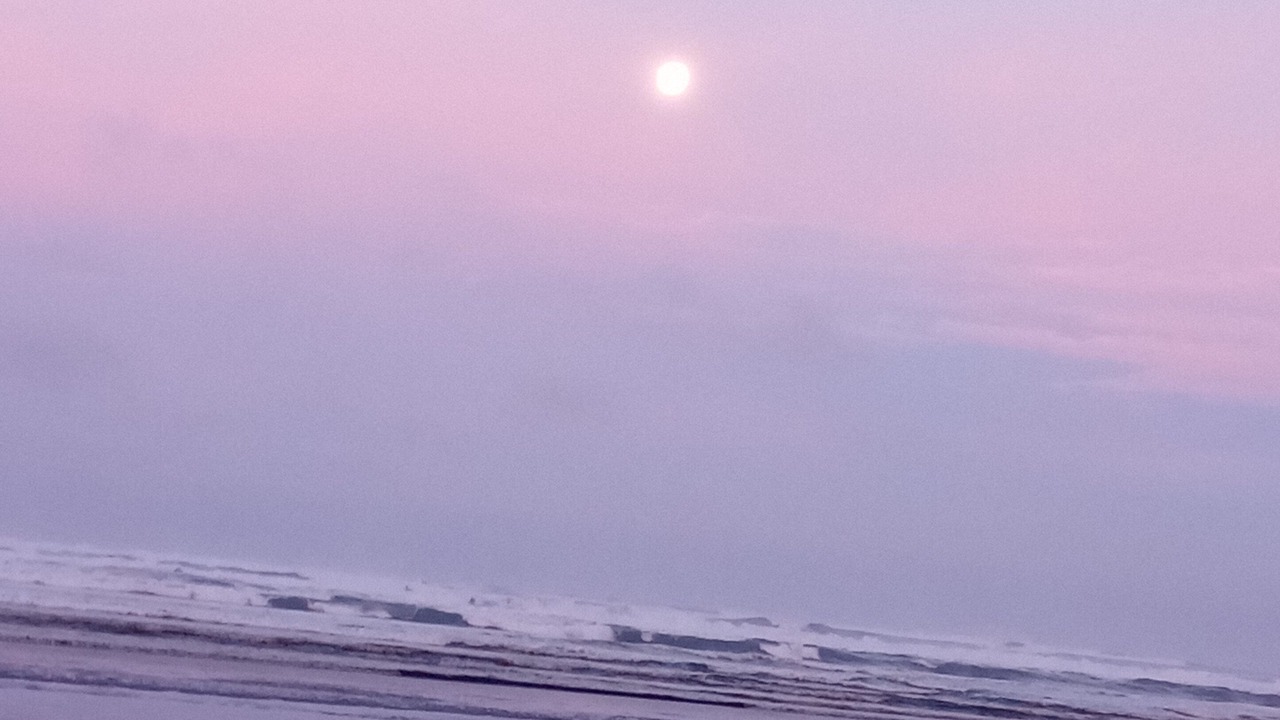 Photo of Others in Ocean Shores