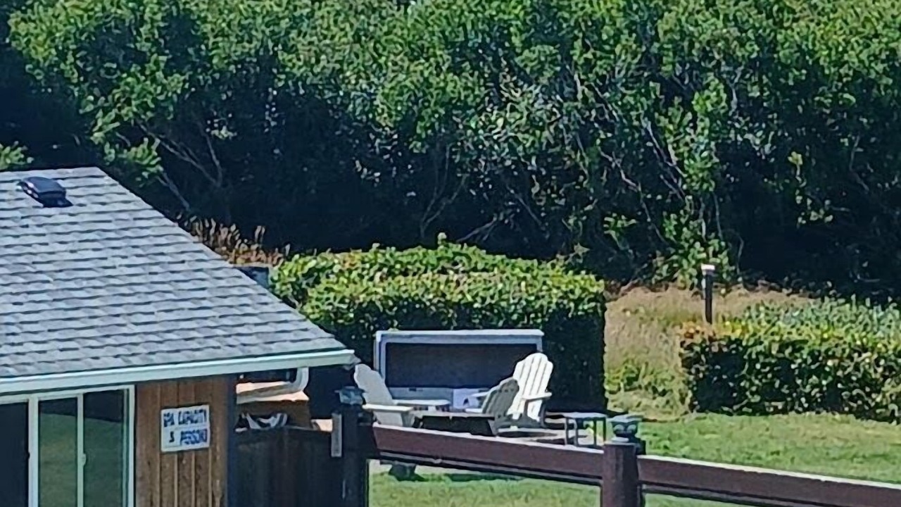 Photo of Outdoor in Ocean Shores