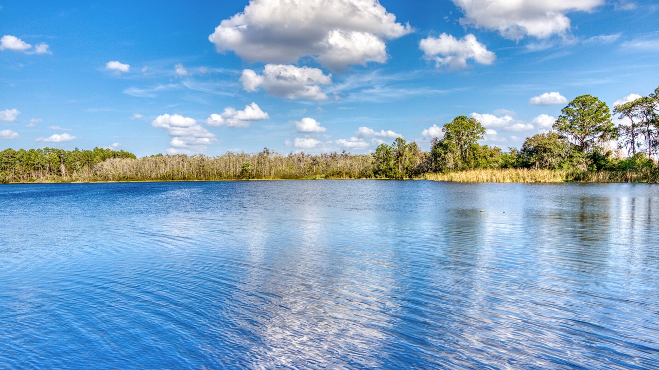 Photo of Outdoor in Bahama Bay