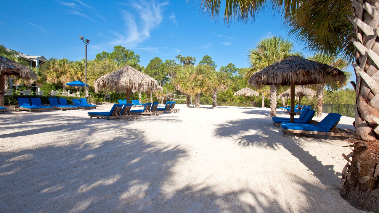 Photo of Others in Bahama Bay