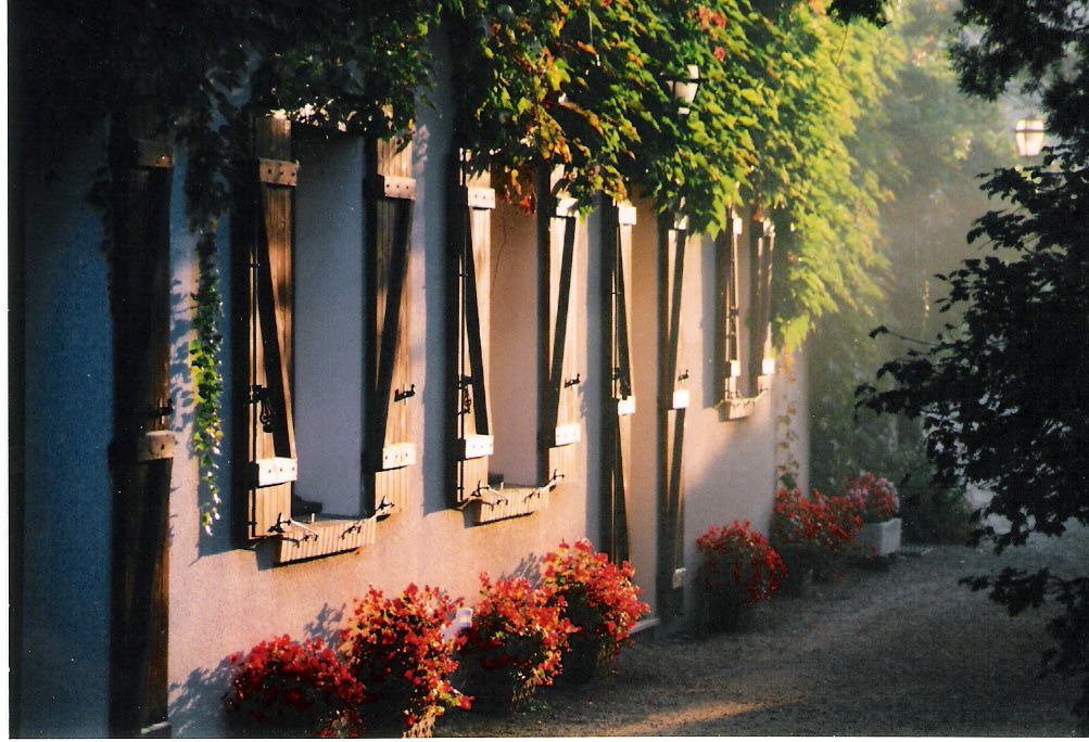 Photo of Outdoor in Replonges