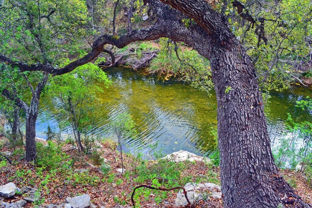 Photo of Others in Wimberley