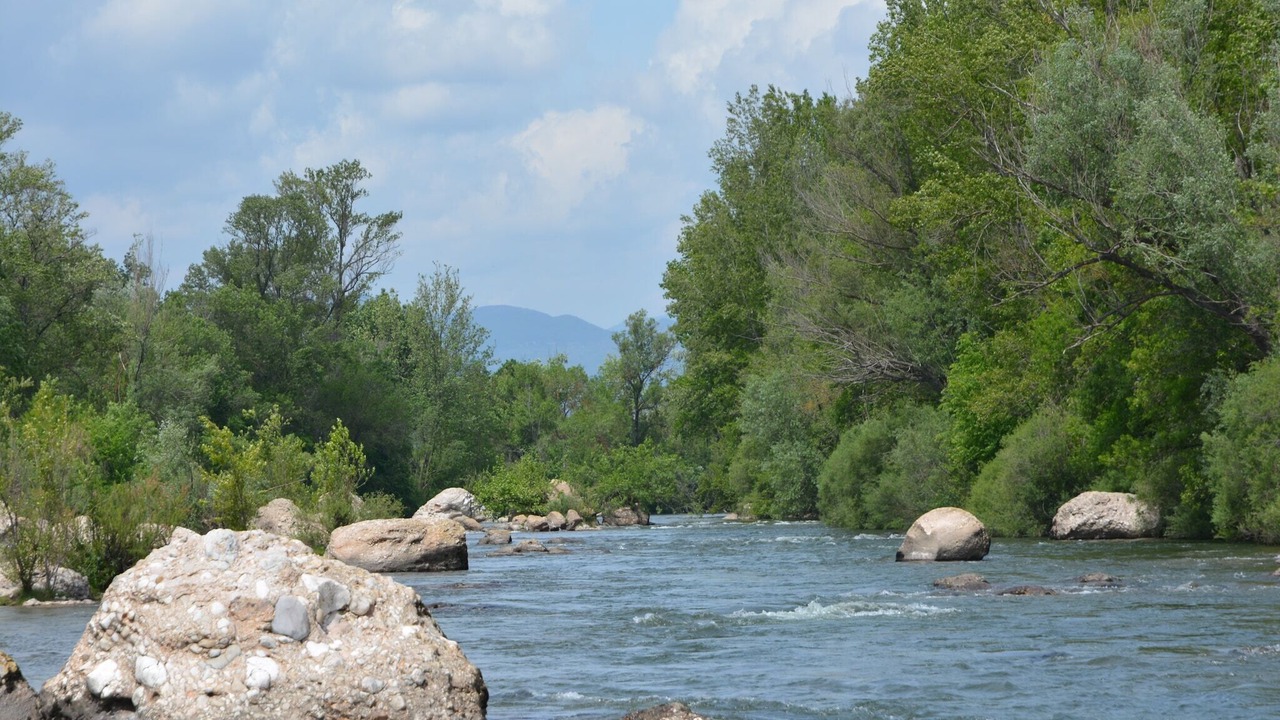 Photo of Others in Roquemaure