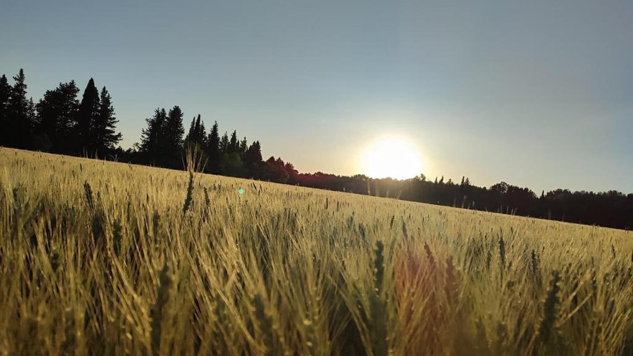 Photo of Others in Roquemaure