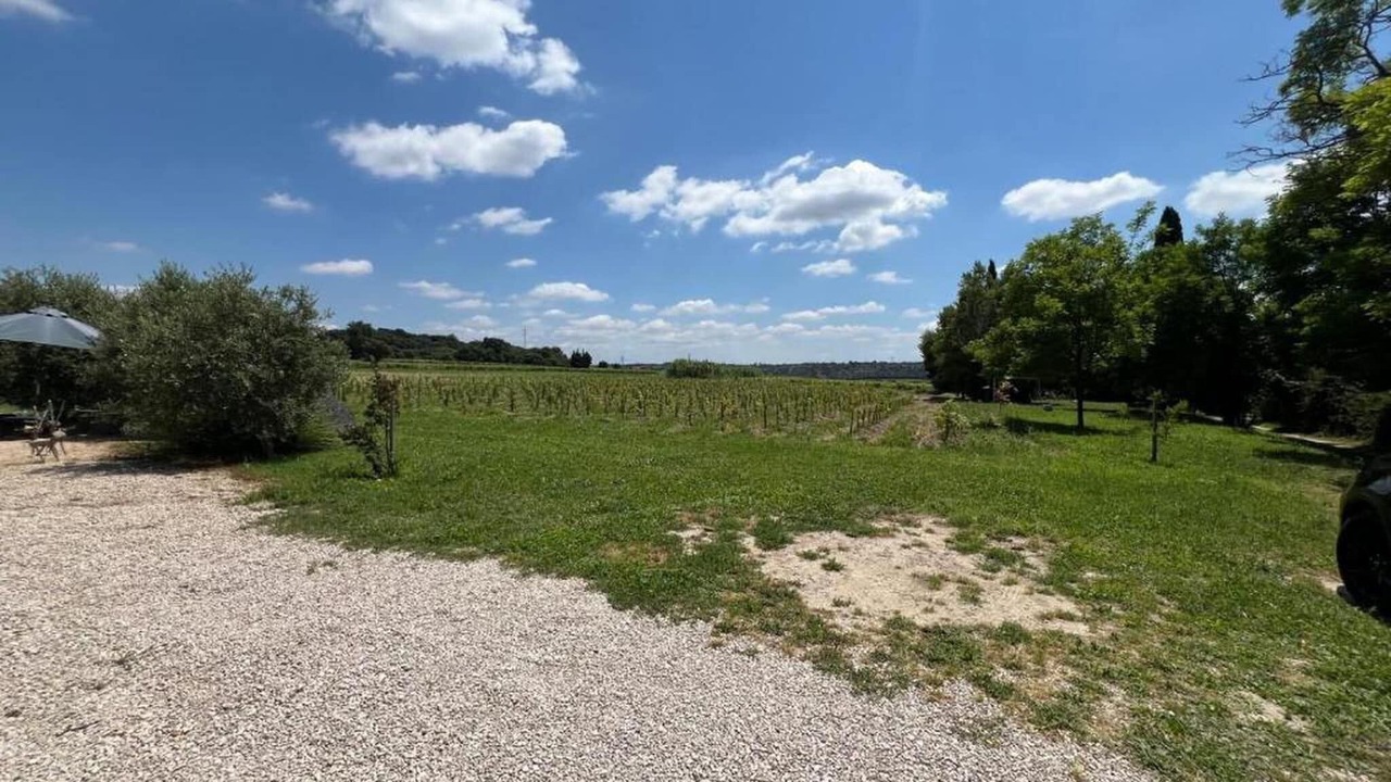 Photo of Others in Roquemaure