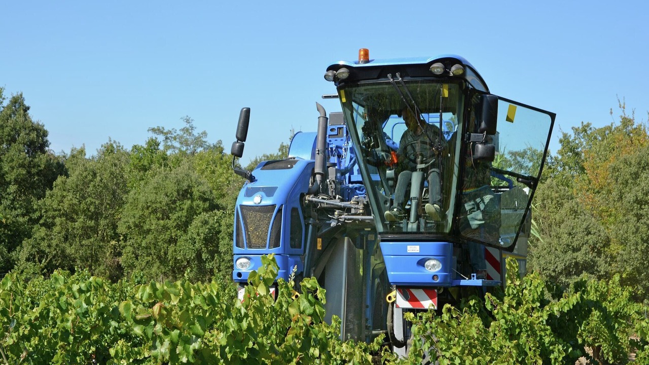 Photo of Others in Roquemaure