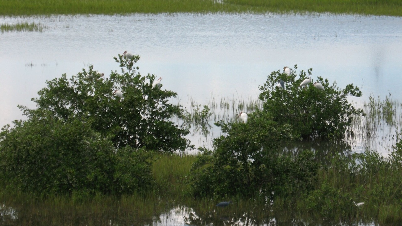 Photo of Outdoor in Lincolnville
