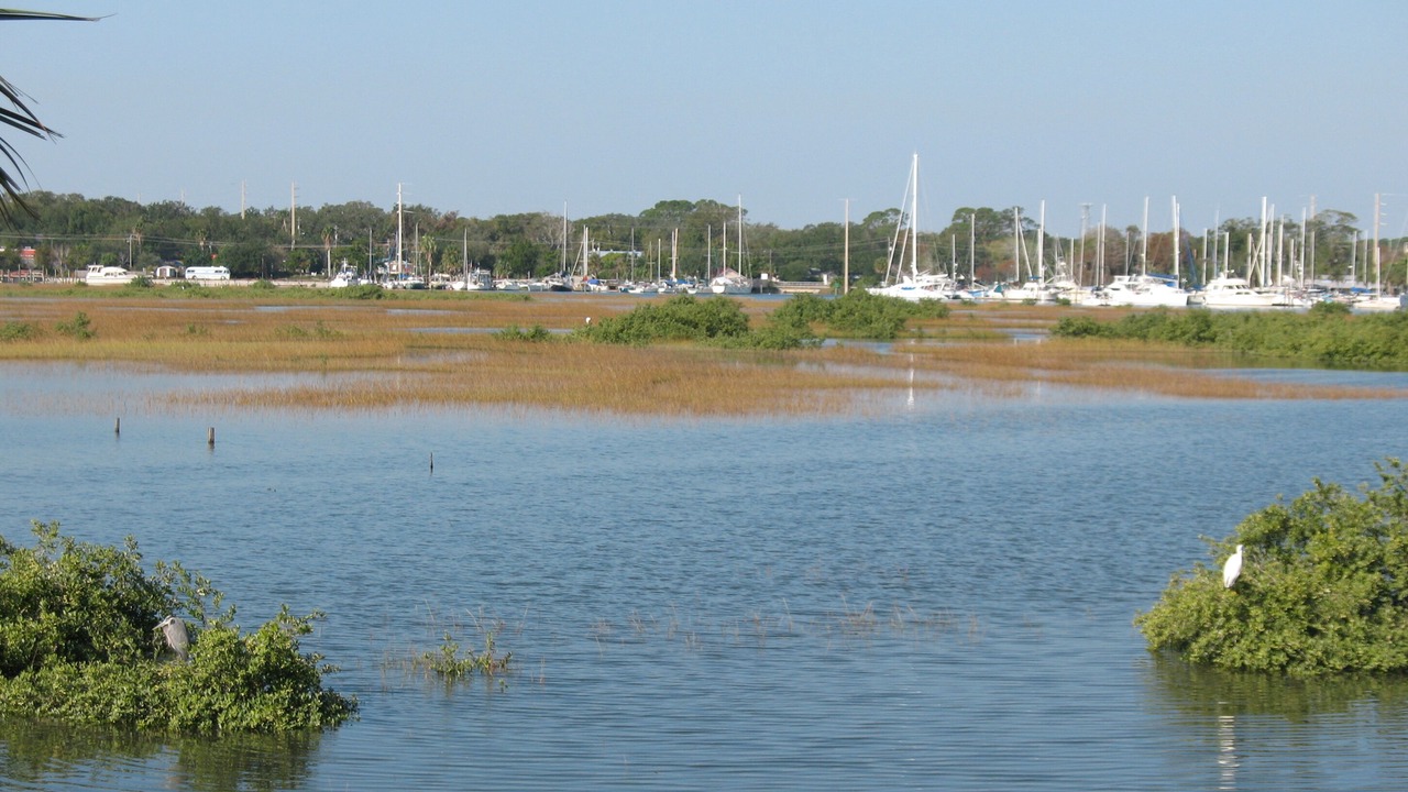 Photo of Others in Lincolnville