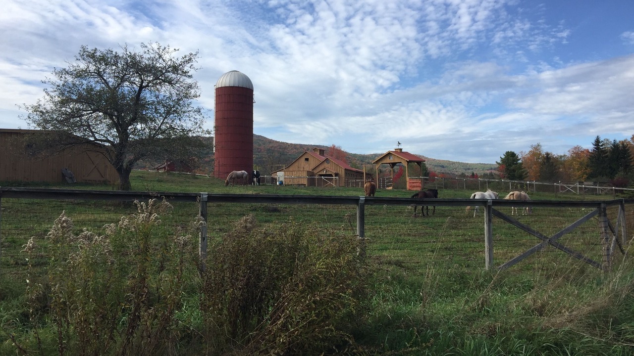 Photo of Others in Windham