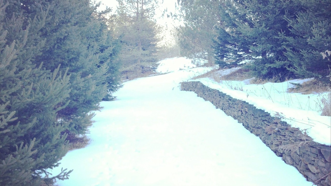 Photo of Outdoor in Delancey