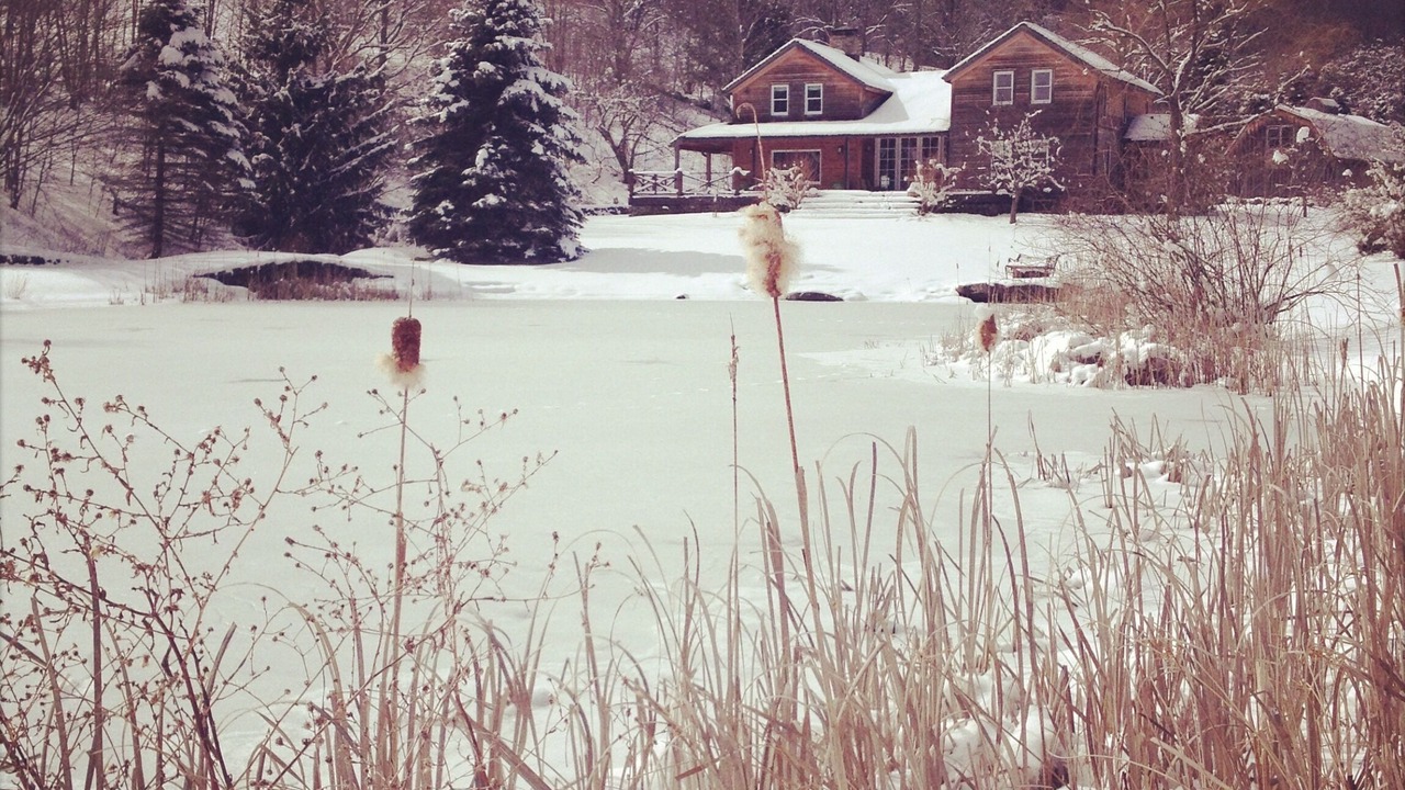 Photo of Others in Delancey