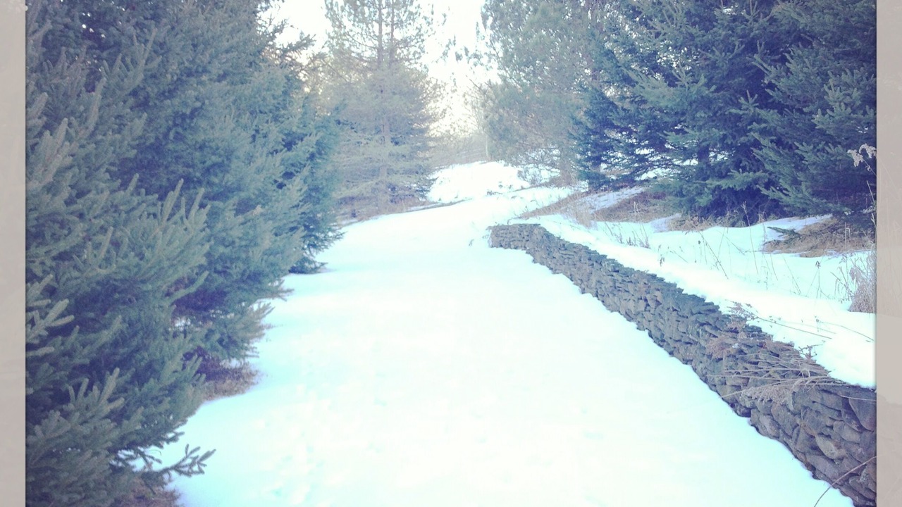 Photo of Outdoor in Delancey