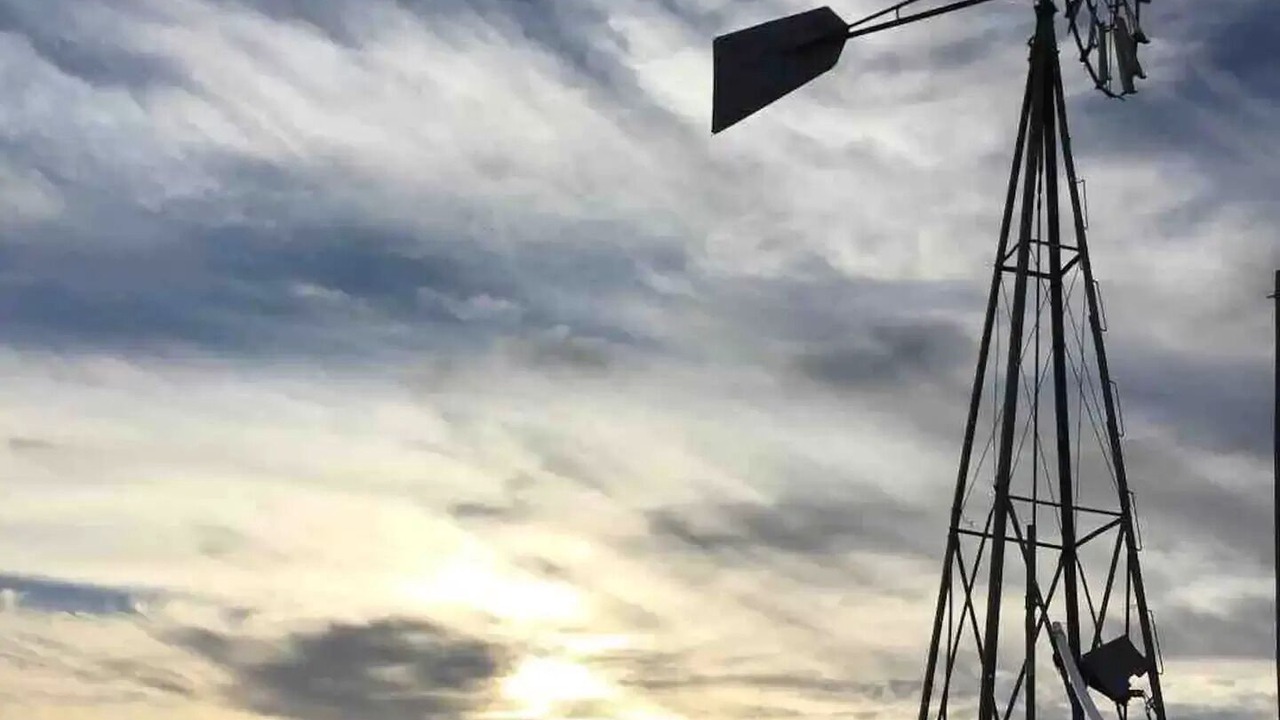 Photo of Others in Hamilton