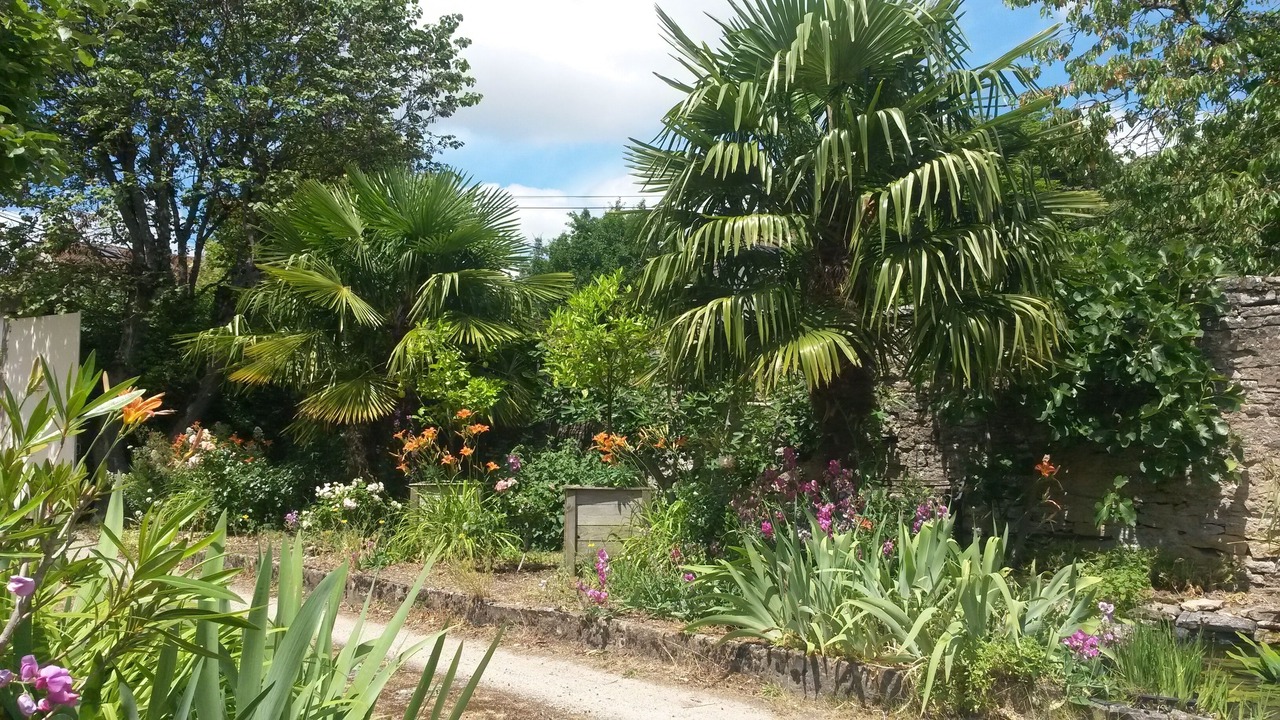 Photo of Outdoor in Dijon