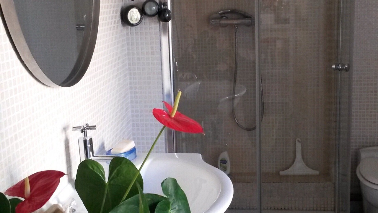 Photo of Bathroom in Dijon