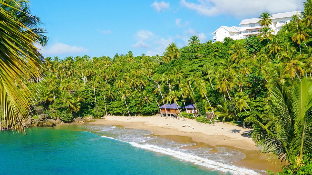 Photo of Others in Samana