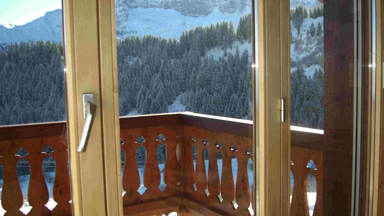 Photo of Patio Balcony in Champoussin