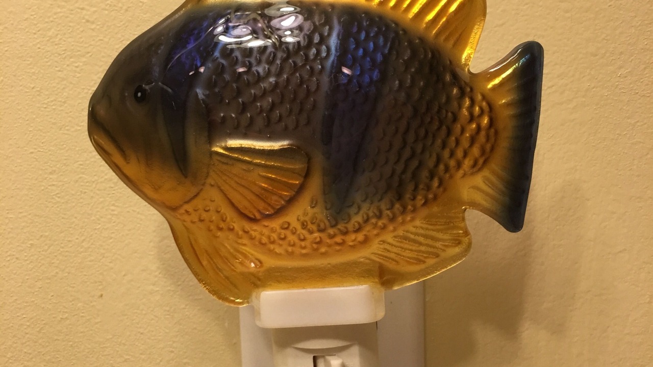 Photo of Others in Hollister