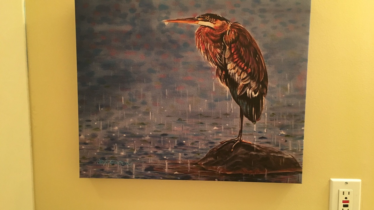 Photo of Others in Hollister