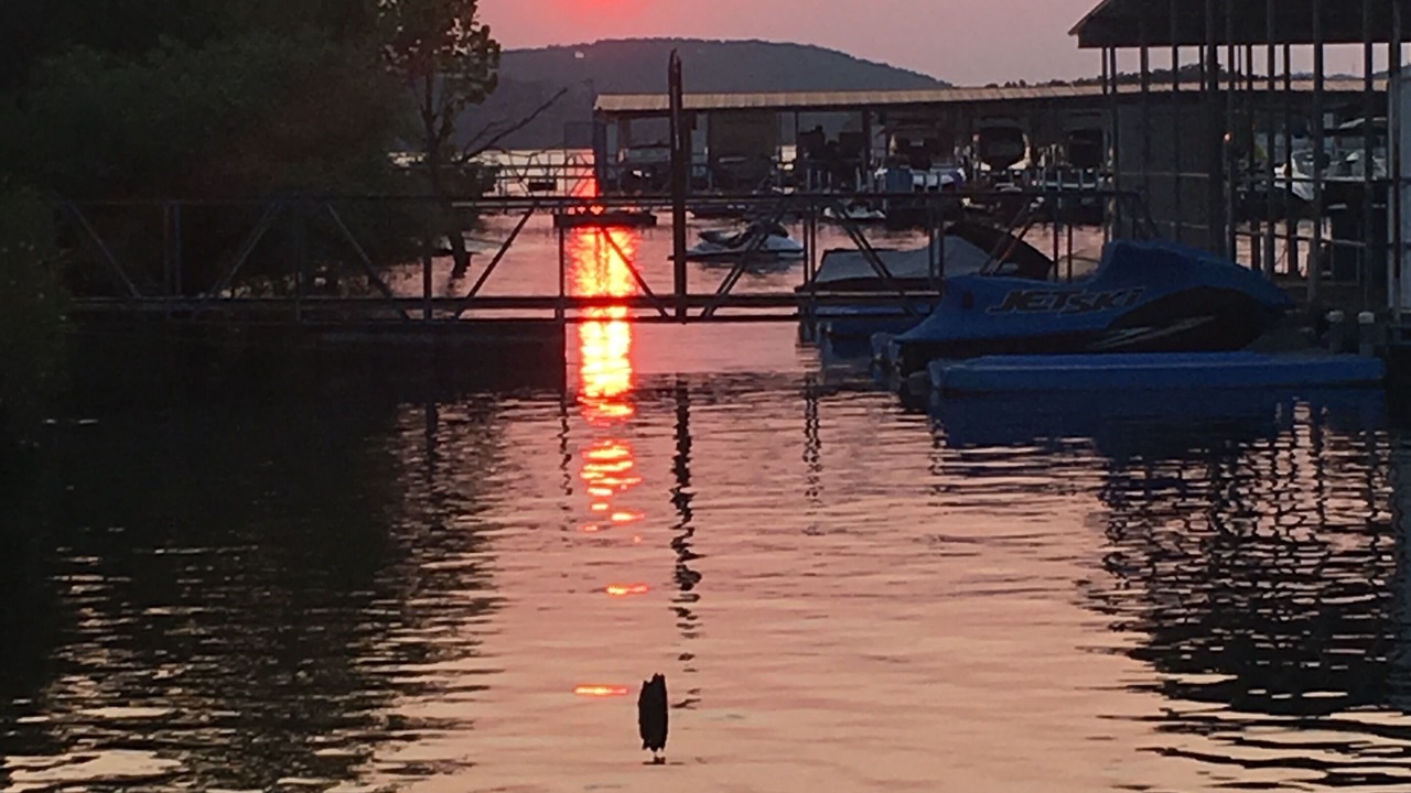 Photo of Others in Hollister