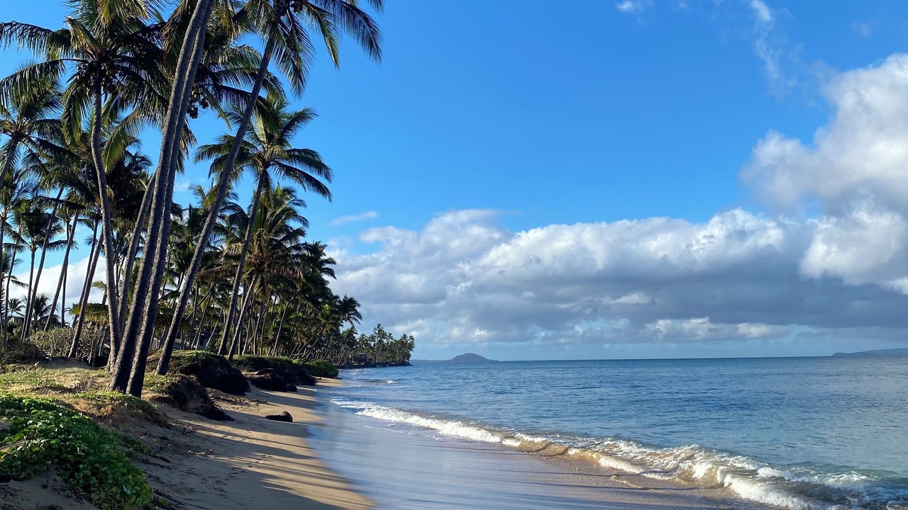 Photo of Others in Kihei