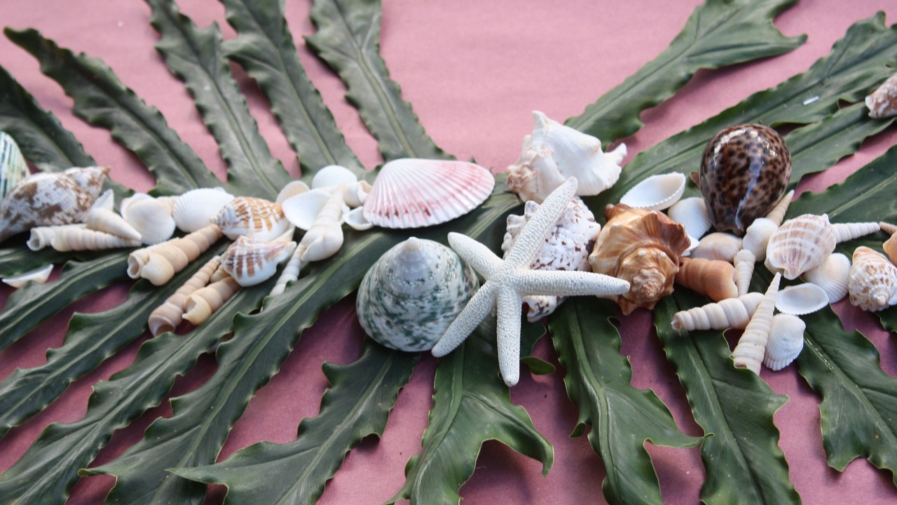 Photo of Outdoor in Kihei