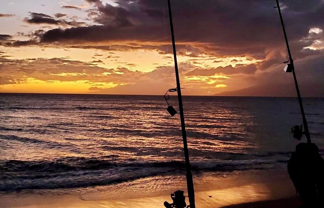 Photo of Others in Kihei