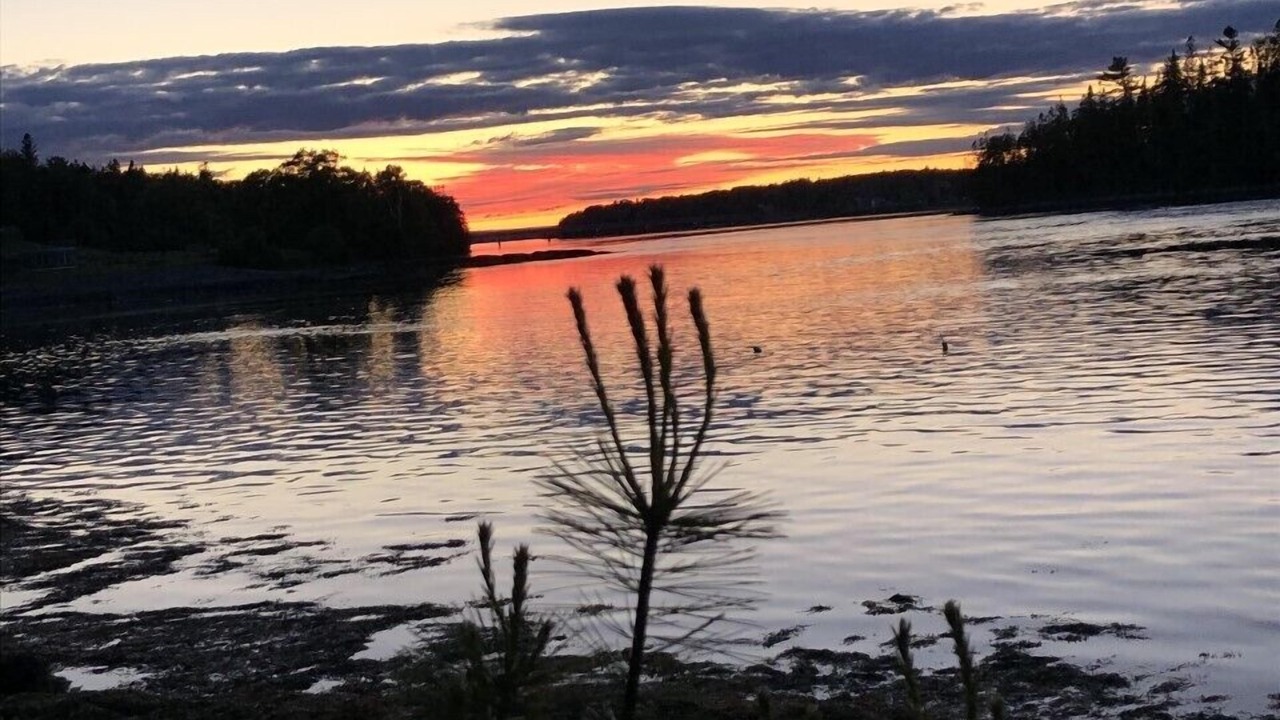 Photo of Others in Hancock