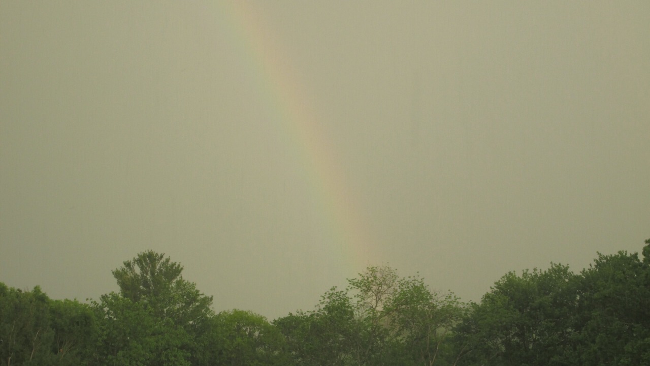 Photo of Others in Hunlock Creek