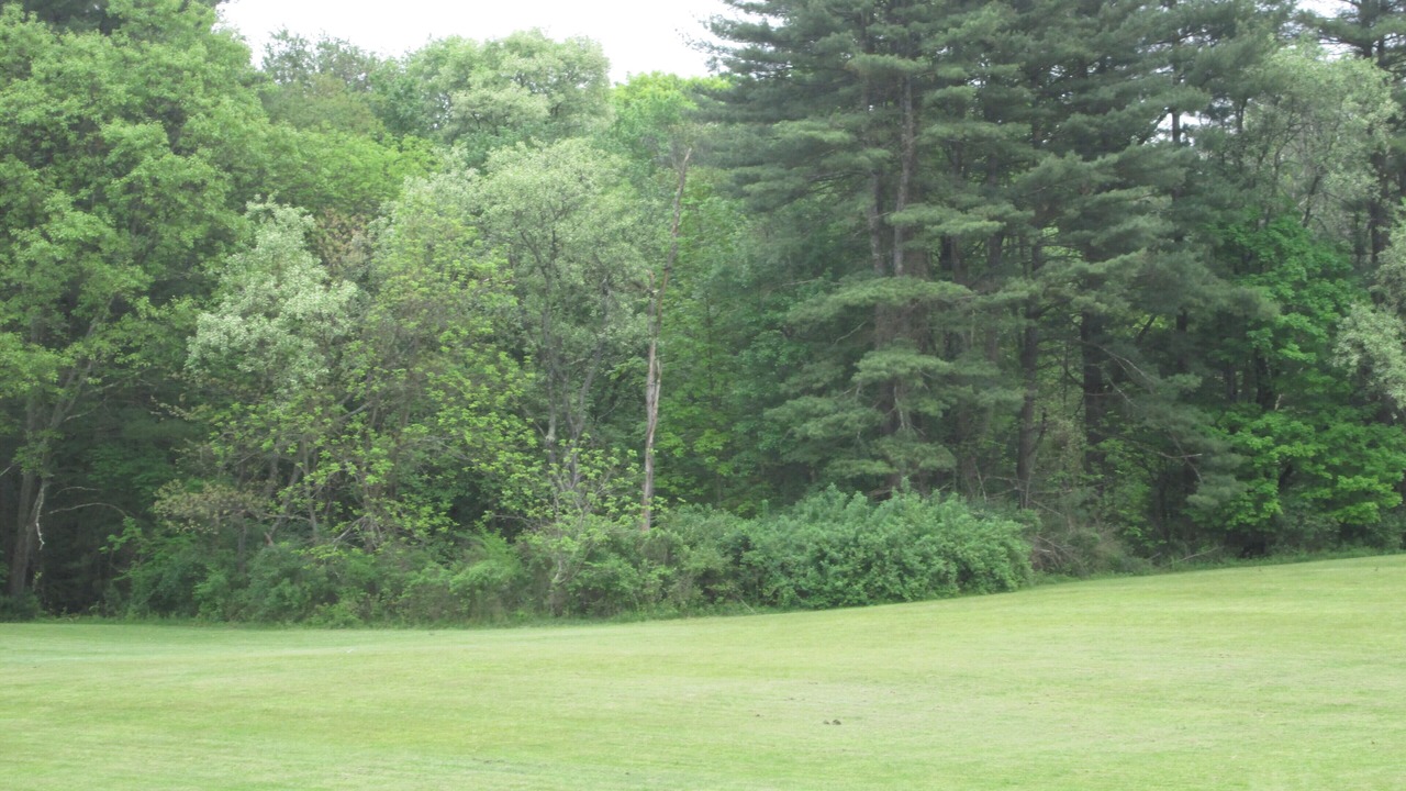 Photo of Others in Hunlock Creek