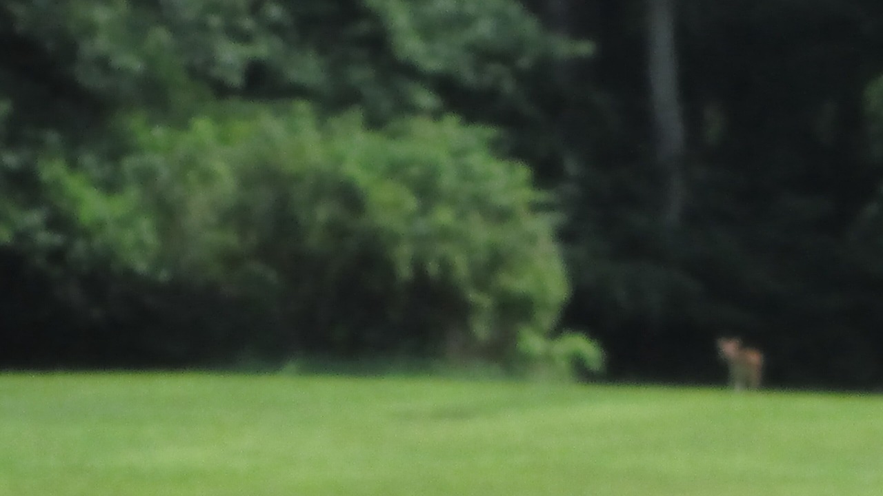 Photo of Outdoor in Hunlock Creek