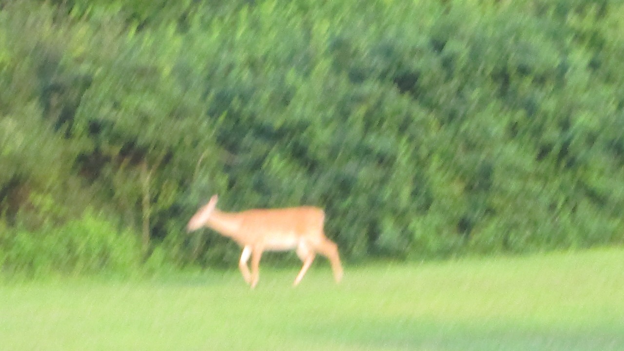 Photo of Outdoor in Hunlock Creek