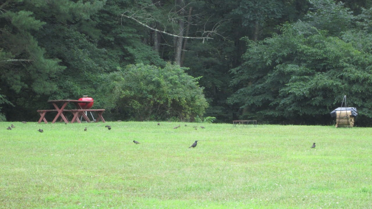 Photo of Outdoor in Hunlock Creek