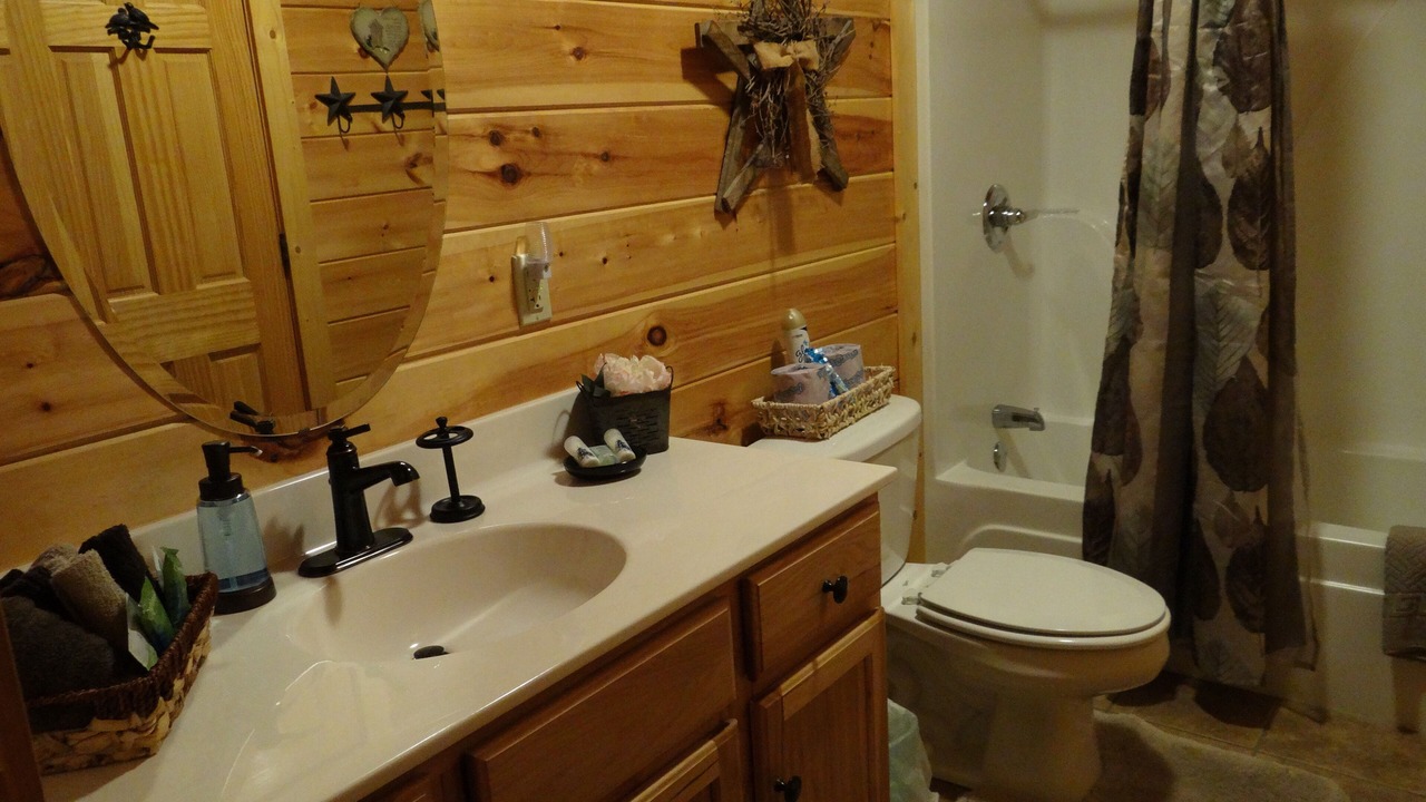 Photo of Bathroom in Wears Valley