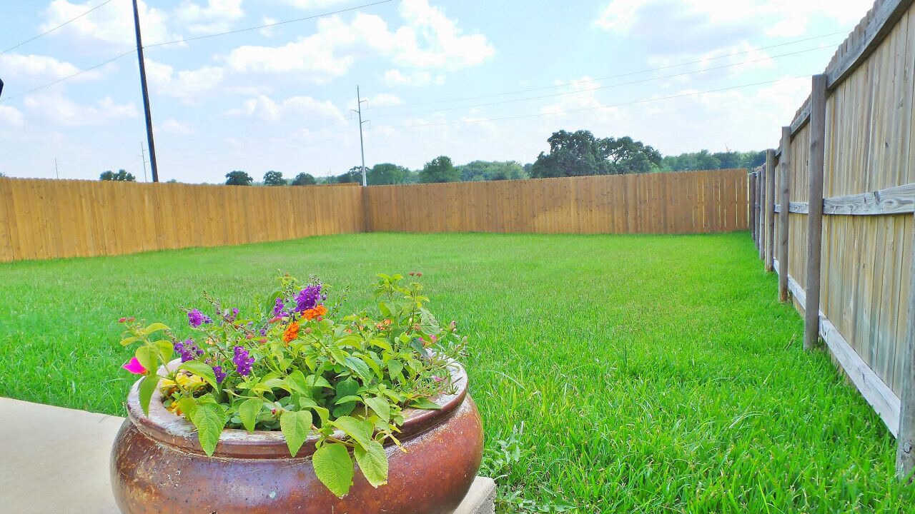 Photo of Others in Bryan