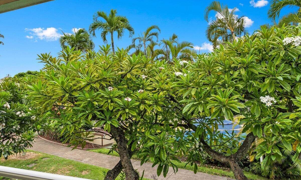 Photo of Outdoor in Napili