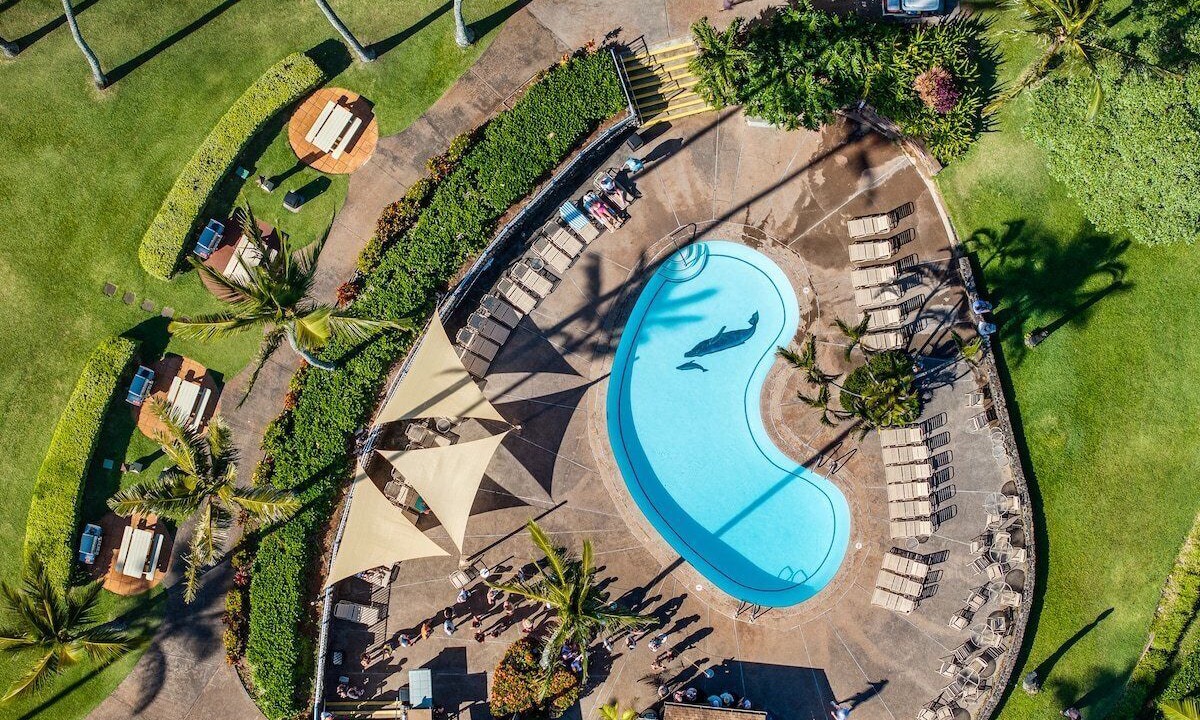 Photo of Others in Napili