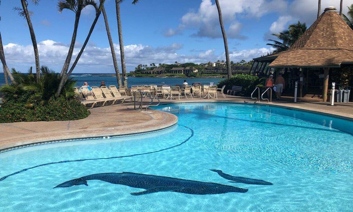 Photo of Outdoor in Napili