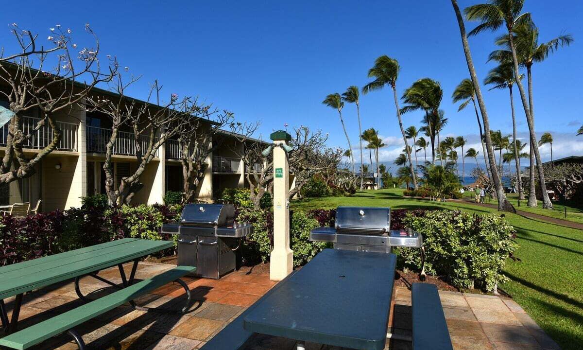 Photo of Others in Napili