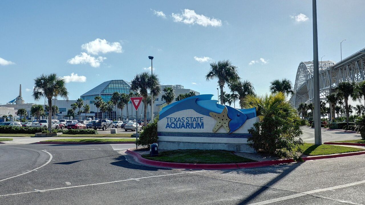 Photo of Others in Corpus Christi