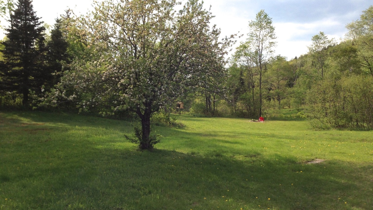 Photo of Others in Mount Holly