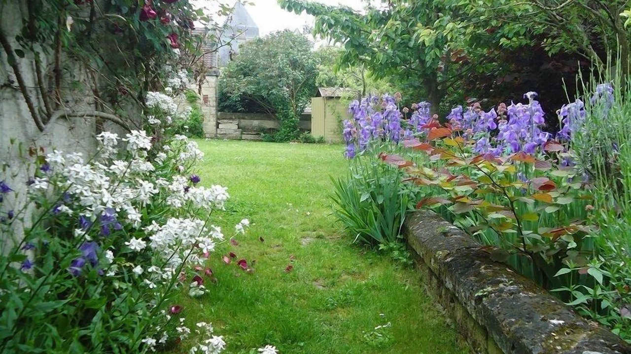 Photo of Outdoor in Coucy-le-Chateau-Auffrique