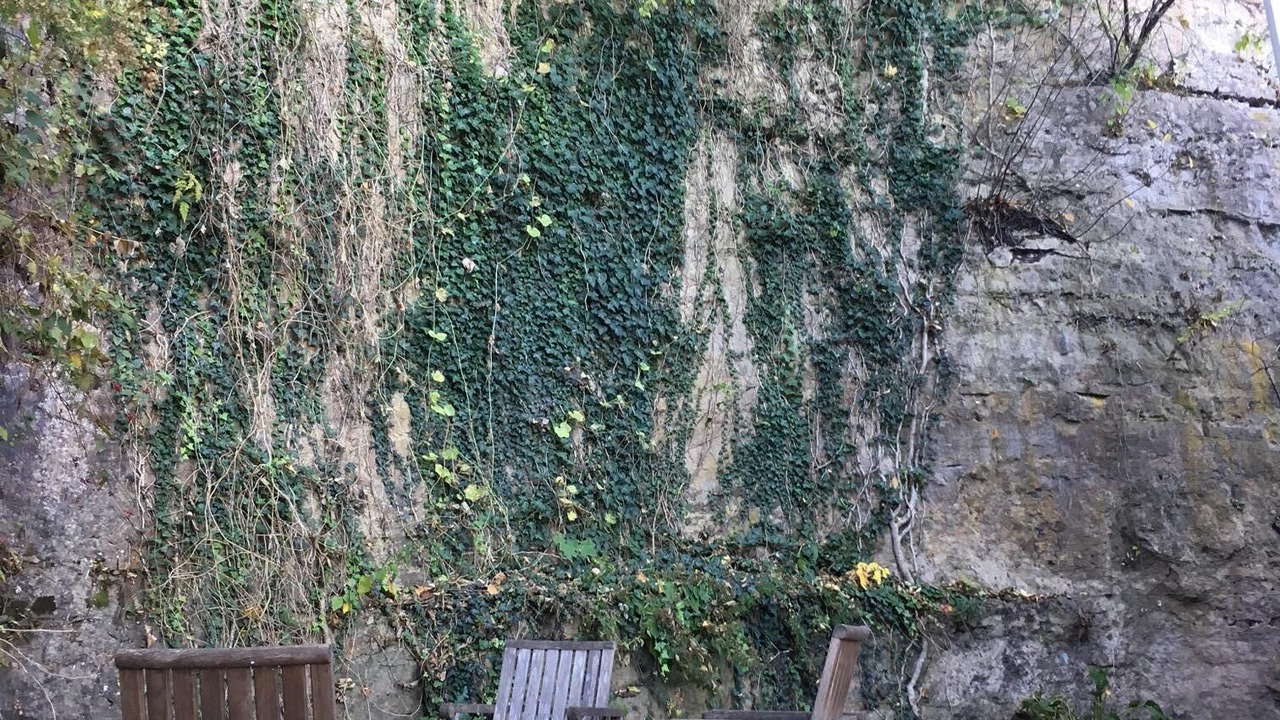 Photo of Others in Dubuque