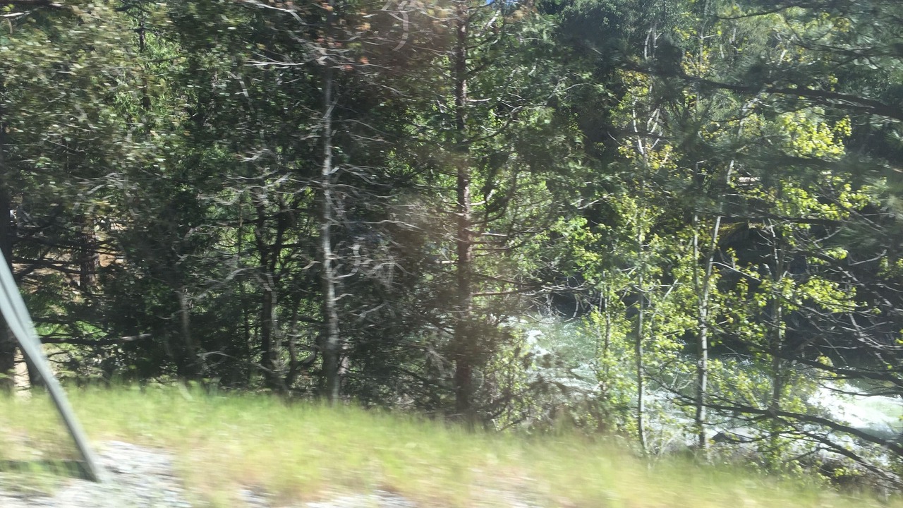 Photo of Outdoor in Foresthill