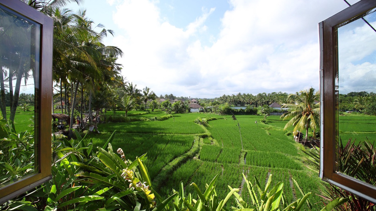 Photo of Bedroom in Ubud