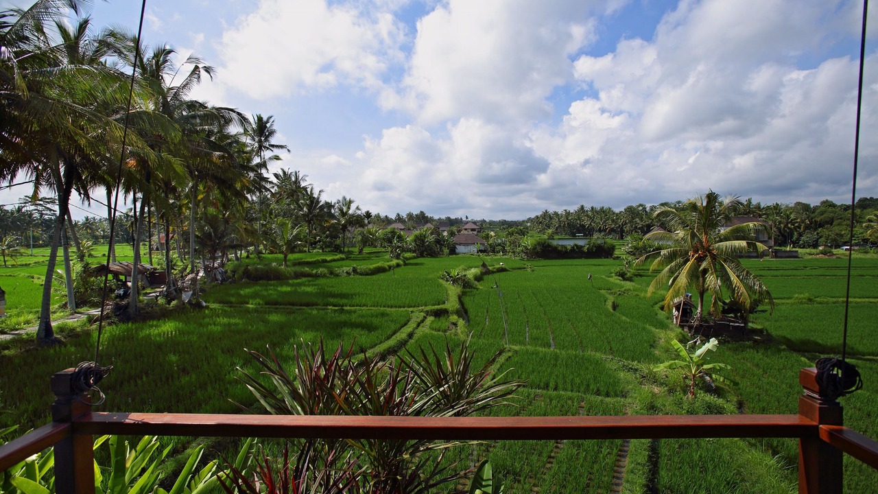 Photo of Patio Balcony in Ubud