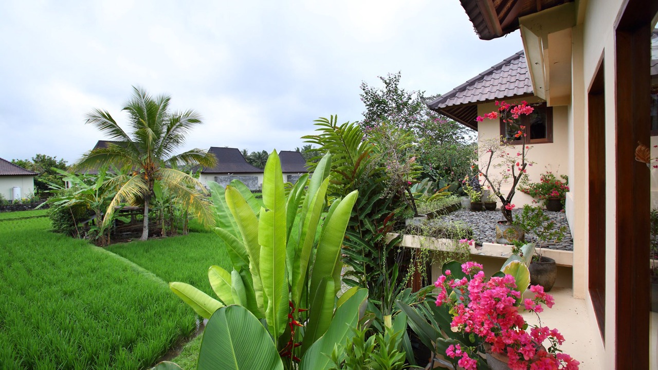 Photo of Bedroom in Ubud
