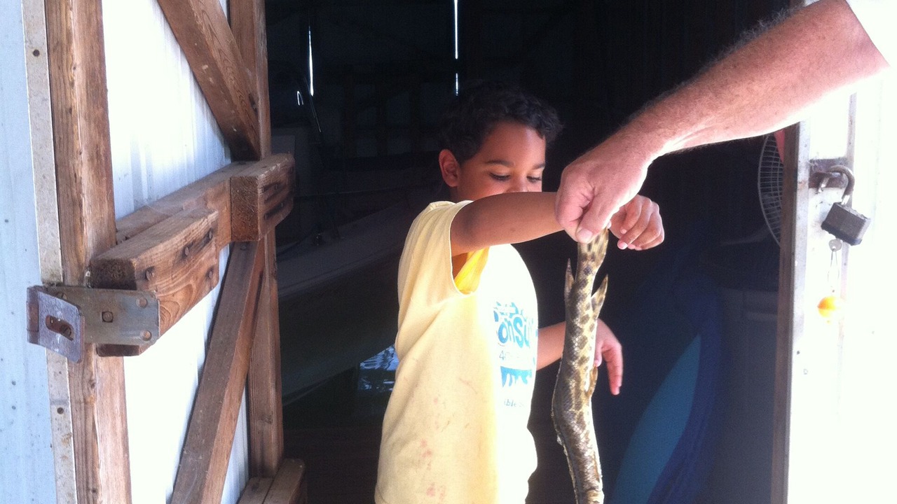Photo of Others in Scottsboro