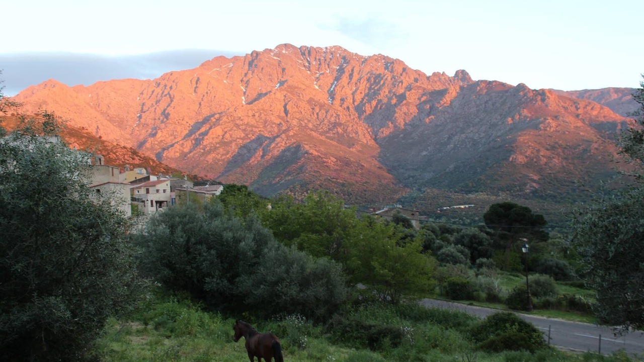 Photo of Outdoor in Montegrosso